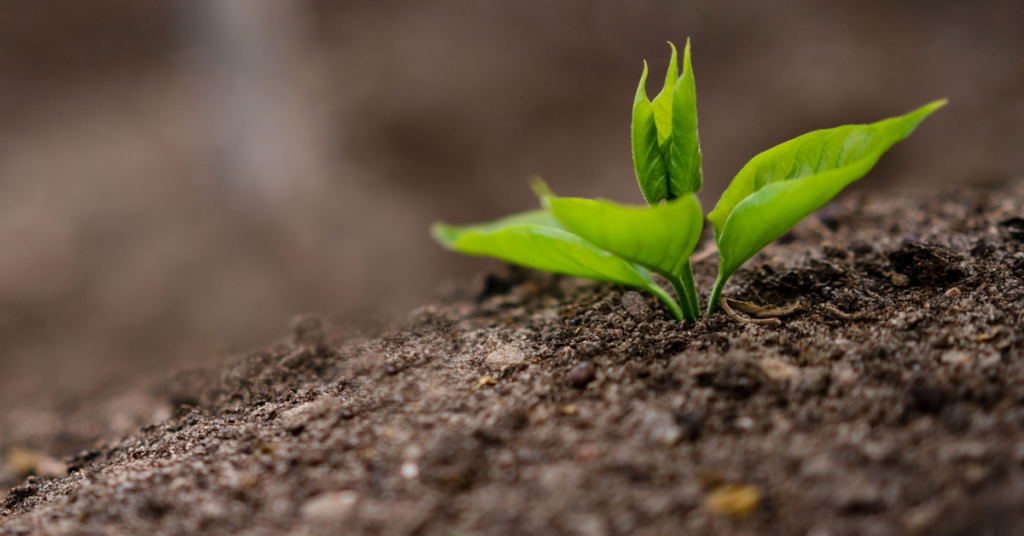 قوة العادات الصغيرة: كيف تغيّر أشياء بسيطة مجرى حياتك؟